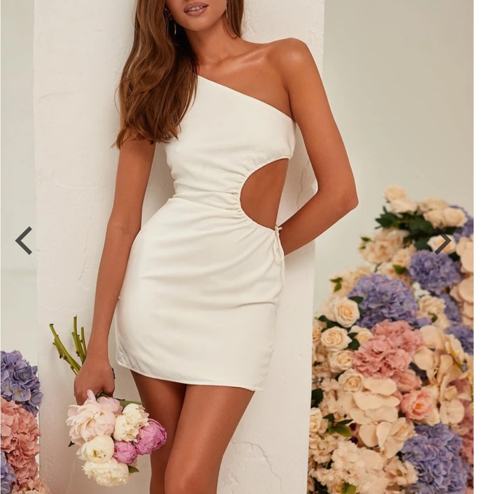 Alamour The Label Agnes Dress DRESSES